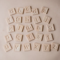 Lower Case Spelling and Writing Tray Lower Case Spelling and Writing Tray - Neurodiversity Nation