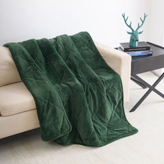 Dream Theory Butter Velvet Weighted Blanket 12 Lbs Green - Neurodiversity Nation
