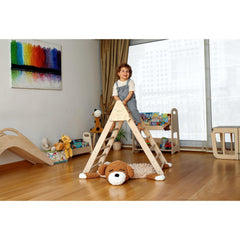 Climbing Triangle with Tent Cover, Mat, Ramp - Neurodiversity Nation