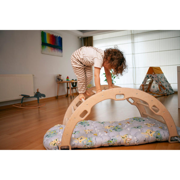 Climbing Arch / Rocker with Map Pillow - Neurodiversity Nation